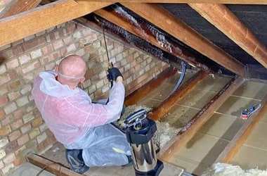 Commercial Pest Control
